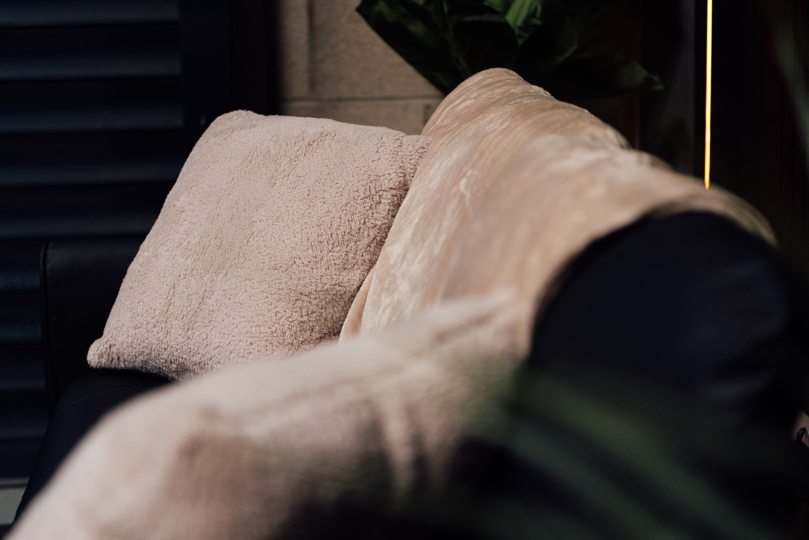 Cream cushion and throw on the studio sofa