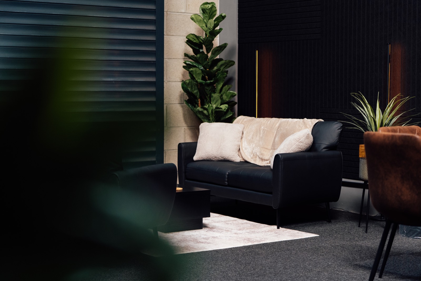 Black sofa set against the acoustic wall with plants