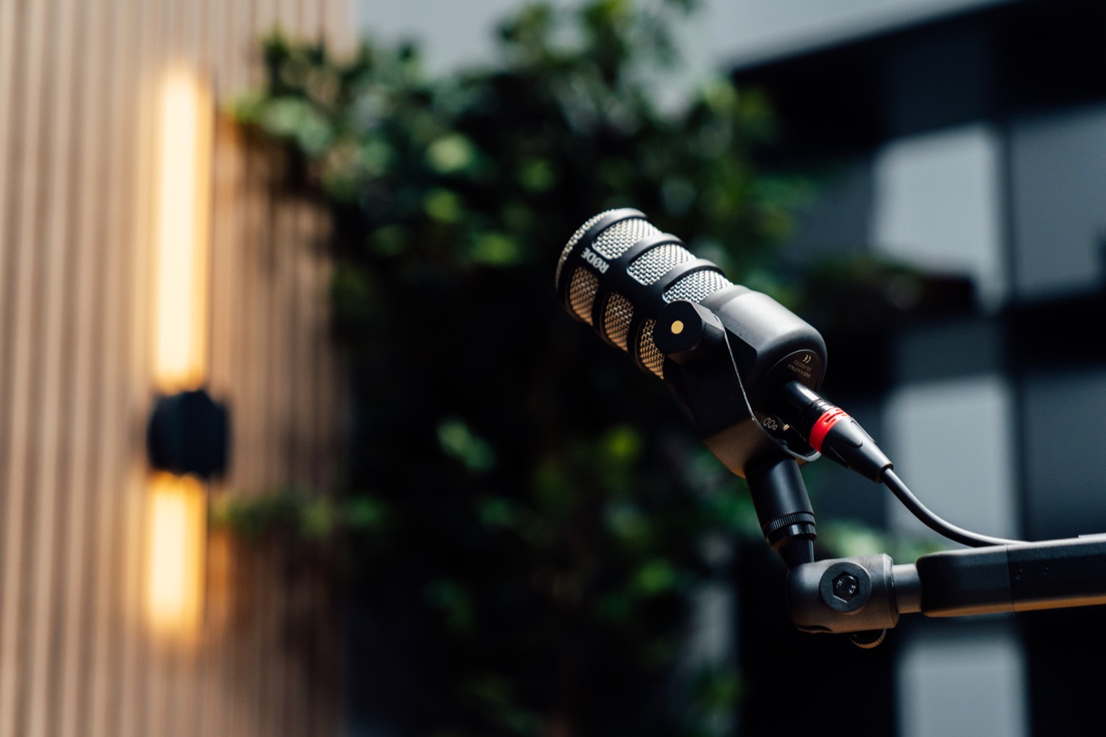 Close-up of a RØDE PodMic with plants and warm wall light